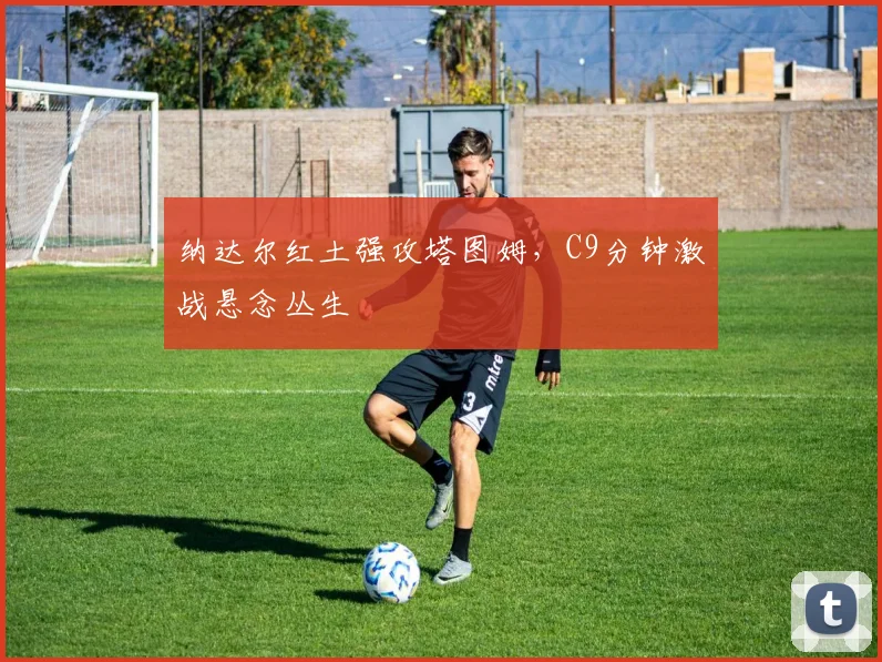 纳达尔红土强攻塔图姆,C9分钟激战悬念丛生 - 开云APP